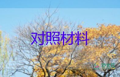 局領(lǐng)導(dǎo)班子對(duì)照材料8篇