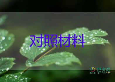 民黨支部委員對照材料5篇