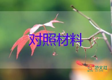 學(xué)黨史檢視對(duì)照材料5篇