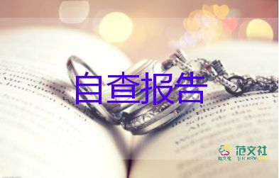 2024鎮(zhèn)長(zhǎng)述職報(bào)告模板6篇