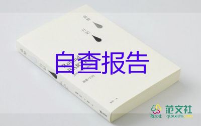 化工個人述職報告7篇