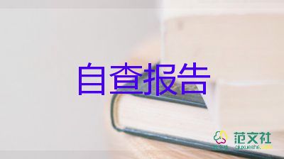 公司自查報(bào)告精選7篇