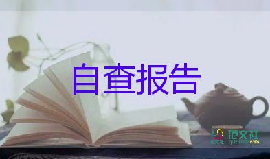 關(guān)于公司的述職報(bào)告6篇