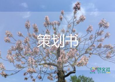 春節(jié)期間活動(dòng)方案8篇