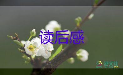 聰明的愛(ài)讀后感通用7篇