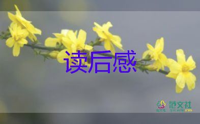 《雷鋒》讀后感作文5篇