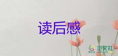 關(guān)于小說追風(fēng)箏的人讀后感學(xué)生參考范文4篇