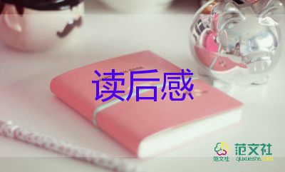 《追風(fēng)箏的人》的讀后感參考5篇