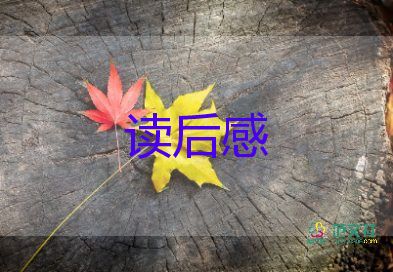 讀《看見》讀后感推薦7篇