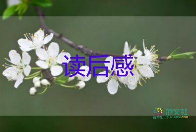 牽駱駝的人讀后感100字5篇