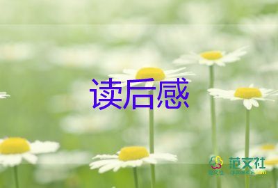 羊與狼的故事讀后感精選6篇