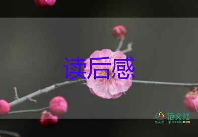 是夢讀后感模板6篇