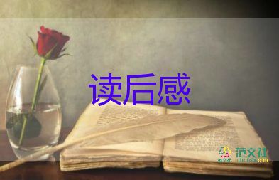 數(shù)學(xué)謎的讀后感參考5篇