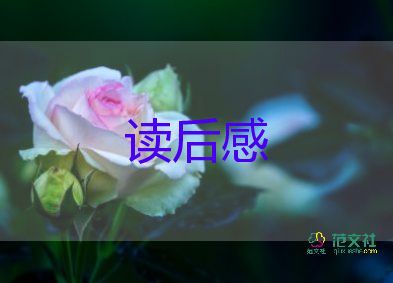 郵圓明園的讀后感優(yōu)秀7篇