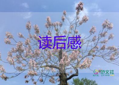 紅樓夢經(jīng)典讀后感參考8篇