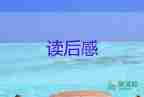 三讀后感300字8篇