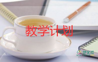 2024年七年級歷史教學(xué)計劃模板8篇