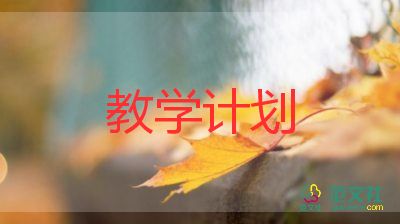 教學(xué)計(jì)劃與教學(xué)總結(jié)通用8篇