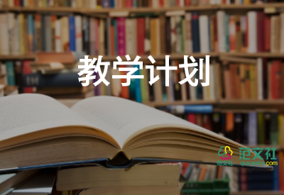 2024年信息技術(shù)教學(xué)計劃精選8篇