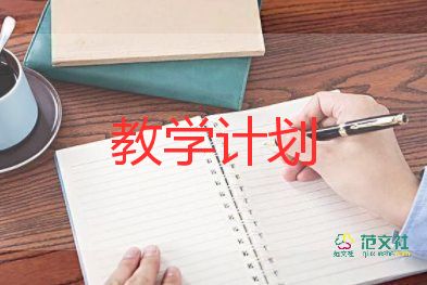 地理組教學(xué)計劃精選7篇