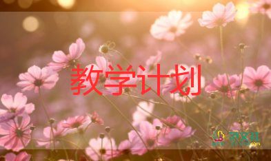 英語(yǔ)老師年度教學(xué)計(jì)劃6篇