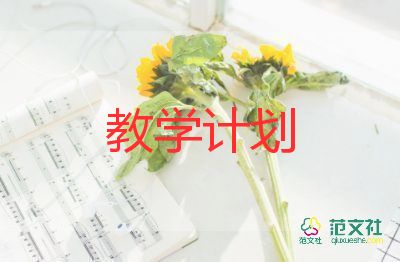 小學(xué)信息及技術(shù)教學(xué)計(jì)劃6篇