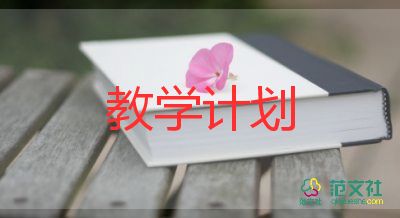 美術(shù)的教學(xué)設(shè)計(jì)教案5篇