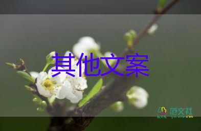 微信今日可發(fā)520紅包，關(guān)于微信的作文