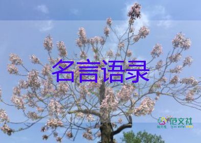 感動！“義墩墩”含淚告別冰墩墩