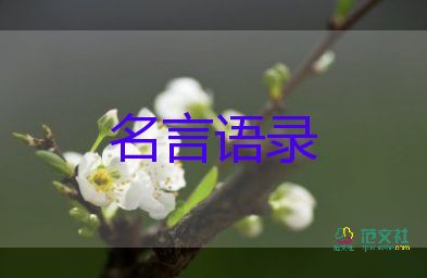 俄烏變局24小時，解密俄烏談判背后真相