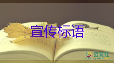 消防人員讓被困人員踩在自己肩膀上離開，消防工作總結(jié)3篇