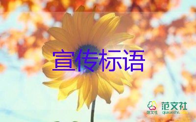 教育部作出回應(yīng)：中小學(xué)將全面開啟“線上教學(xué)”？