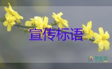 藏在細(xì)節(jié)里的6.18的冷清暗戰(zhàn)，消費的心得體會3篇