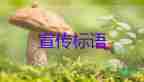 長(zhǎng)沙獲救的女孩對(duì)消防說“你是我的希望”，消防員個(gè)人年度工作總結(jié)2篇