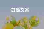 2022市場部工作計劃精選熱門優(yōu)秀模板5篇