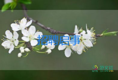 招聘2023工作總結優(yōu)質(zhì)5篇