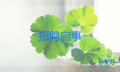 招聘的工作計劃6篇