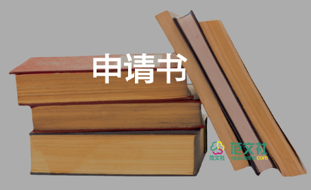 申請查工資的申請書6篇