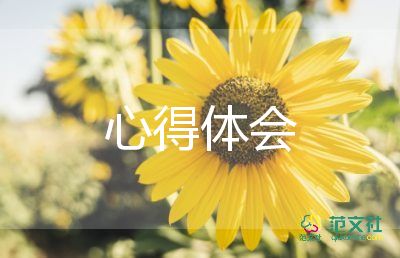 最新關(guān)于掃黑除惡的個(gè)人心得體會(huì)通用范文4篇