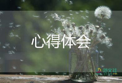 會計電算化實訓(xùn)后心得體會8篇