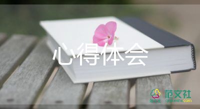 心得體會安全作文優(yōu)質8篇