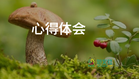 紅軍長征的心得體會600字6篇