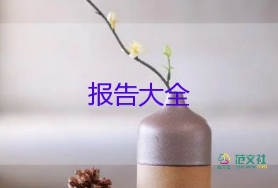 項(xiàng)目經(jīng)理述職報(bào)告最新2篇