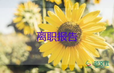 通用關(guān)于房地產(chǎn)銷售辭職報告參考范文6篇