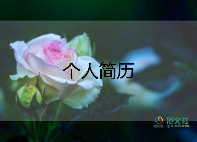 程序員微簡(jiǎn)歷模板7篇