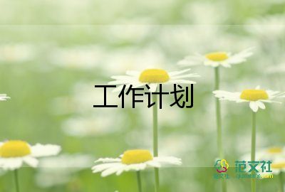 會(huì)計(jì)周的工作計(jì)劃5篇