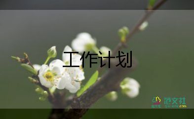 司機(jī)周的工作計(jì)劃8篇