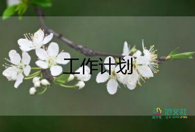 給客戶的工作計(jì)劃5篇