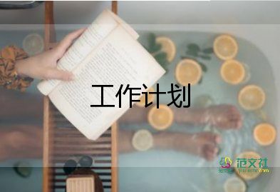 到新公司工作計劃5篇