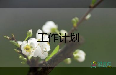 大班12周工作計(jì)劃8篇